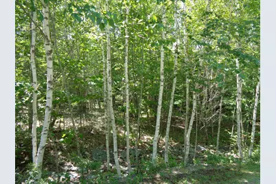 Lot20-20 Bailey Mountain Road, Franklin, ME 04634 - Photo 3