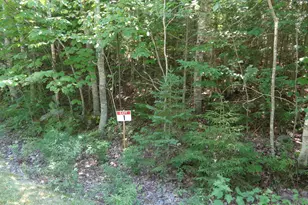 Lot 1 Bailey Mountain Rd, Franklin, ME 04634 - Photo 1