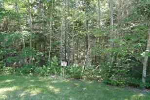 Lot 9 Bailey Mountain Rd, Franklin, ME 04634 - Photo 1