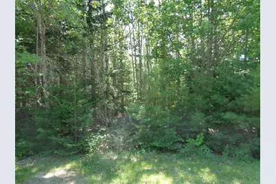 Lot 9 Bailey Mountain Road, Franklin, ME 04634 - Photo 13