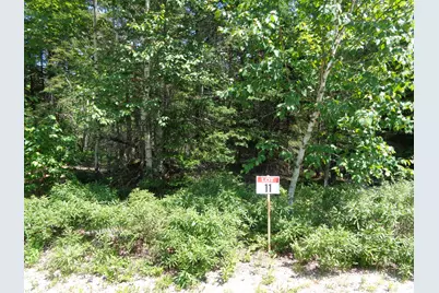 Lot 11 Bailey Mountain Road, Franklin, ME 04634 - Photo 5