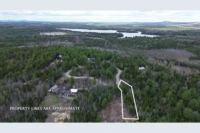 Lot 11 Bailey Mountain Road, Franklin, ME 04634 - Photo 9
