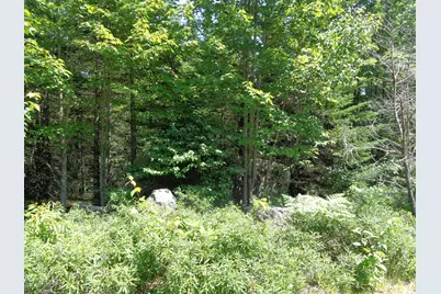 Lot 11 Bailey Mountain Road, Franklin, ME 04634 - Photo 3