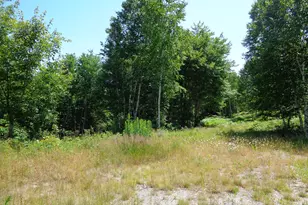 Lot 16 Bailey Mountain Dr, Franklin, ME 04634 - Photo 1