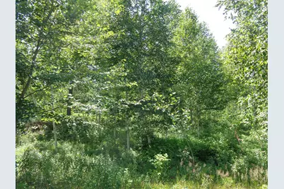 Lot 16 Bailey Mountain Road, Franklin, ME 04634 - Photo 3