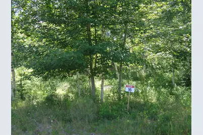 Lot 16 Bailey Mountain Road, Franklin, ME 04634 - Photo 1
