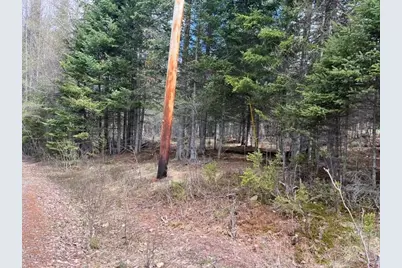 Lot 12 Doe Path, Rangeley, ME 04970 - Photo 7