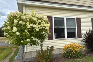 207 Corinth Rd, Hudson, ME 04449 - Photo 45