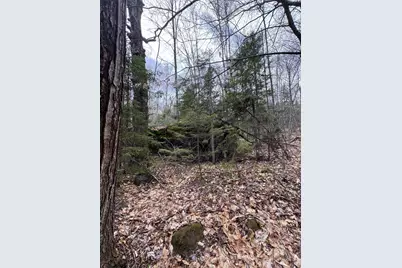 141 Tufts Pond Road, Springfield, ME 04947 - Photo 31