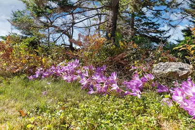 012 Long Island, Georgetown, ME 04548 - Photo 83