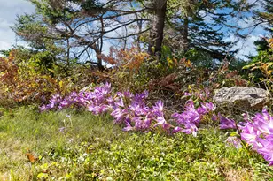012 Long Island, Georgetown, ME 04548 - Photo 83
