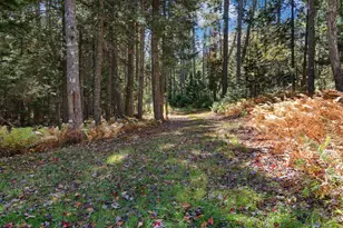 012 Long Island, Georgetown, ME 04548 - Photo 115
