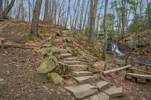 40 Webb St, Portland, ME 04102 - Photo 37