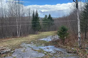 000 James Jipson Rd, Lowell, ME 04493 - Photo 45
