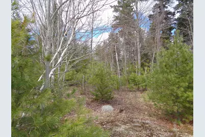 Lot 17 Bailey Mountain Road, Franklin, ME 04634 - Photo 11