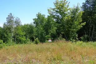 Lot 17 Bailey Mountain Rd, Franklin, ME 04634 - Photo 1