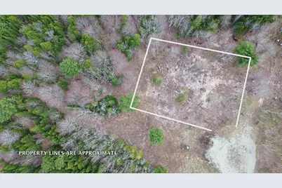 Lot 17 Bailey Mountain Road, Franklin, ME 04634 - Photo 5