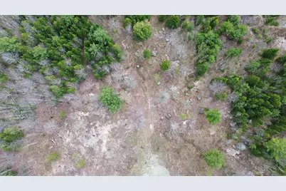 Lot 17 Bailey Mountain Road, Franklin, ME 04634 - Photo 7