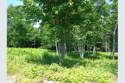 Lot 17 Bailey Mountain Road, Franklin, ME 04634 - Photo 3