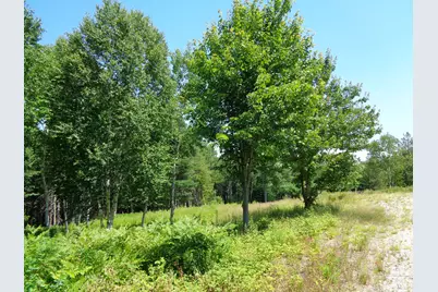 Lot 18 Bailey Mountain Road, Franklin, ME 04634 - Photo 3