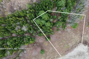 Lot 18 Bailey Mountain Dr, Franklin, ME 04634 - Photo 1