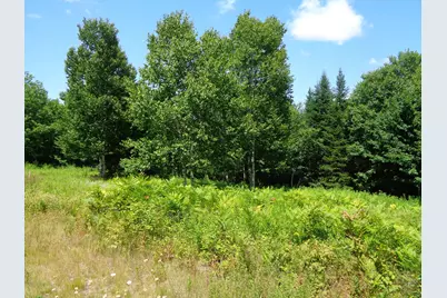 Lot 18 Bailey Mountain Road, Franklin, ME 04634 - Photo 1
