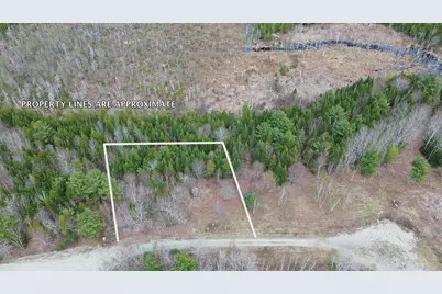 Lot 19 Bailey Mountain Drive, Franklin, ME 04634 - Photo 5