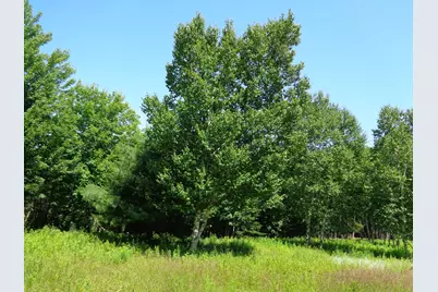 Lot 19 Bailey Mountain Drive, Franklin, ME 04634 - Photo 1