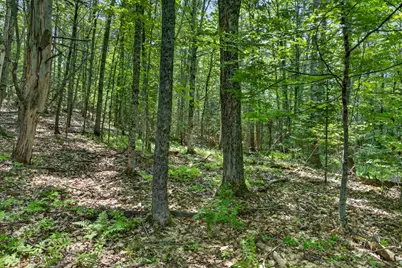 Lot #6 Lewis Hill Road, Newcastle, ME 04553 - Photo 9
