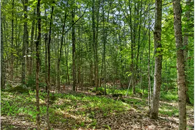 Lot #6 Lewis Hill Road, Newcastle, ME 04553 - Photo 11