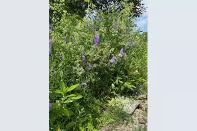 45 Freedom Road, Belgrade, ME 04917 - Photo 79