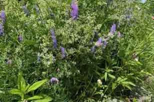 45 Freedom Rd, Belgrade, ME 04917 - Photo 79