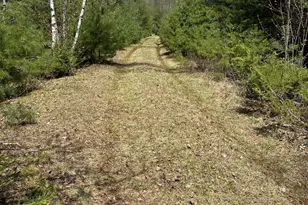 170 Pine Rd, Greenbush, ME 04418 - Photo 7