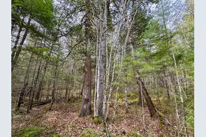 110 Butterfield Ridge Road, Manchester, ME 04457 - Photo 19