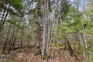 110 Butterfield Ridge Rd, Manchester, ME 04457 - Photo 19