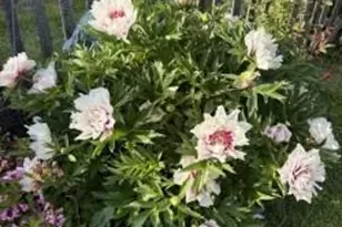 161 Charles St, Belfast, ME 04915 - Photo 9