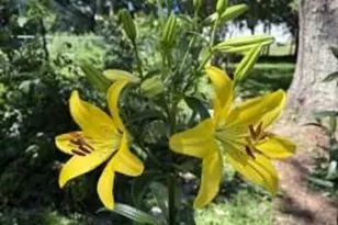 161 Charles St, Belfast, ME 04915 - Photo 7