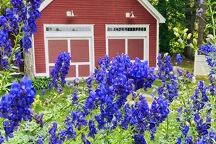 11 Sunset Ave, Lisbon, ME 04252 - Photo 55