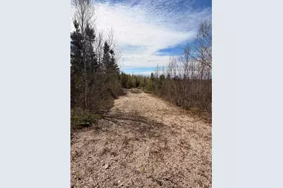 76 Morancy Road, Sullivan, ME 04664 - Photo 3