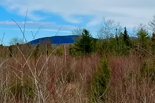19 Aspen Ln, Sullivan, ME 04664 - Photo 1