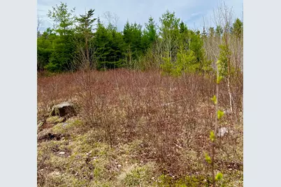 19 Aspen Lane, Sullivan, ME 04664 - Photo 5