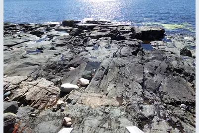 29 Loons Call, Winter Harbor, ME 04693 - Photo 57