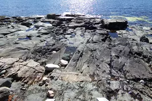 29 Loons Call, Winter Harbor, ME 04693 - Photo 57