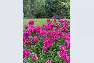 30 Merritt Drive, Orono, ME 04473 - Photo 57