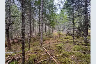 58 High Head Road, East Machias, ME 04630 - Photo 11