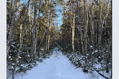 M11L17&17C Rogers Point Road, Steuben, ME 04680 - Photo 5
