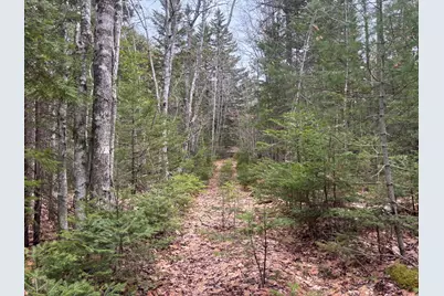 M11L17&17C Rogers Point Road, Steuben, ME 04680 - Photo 3