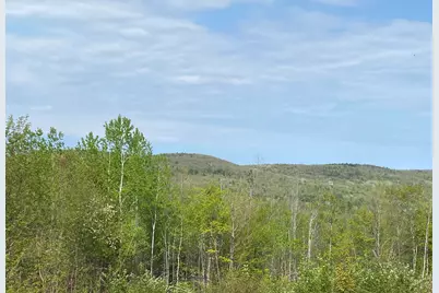 Lot #042 Tower Road, Vienna, ME 04360 - Photo 3