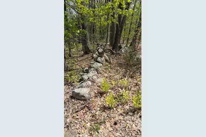 Lot #042 Tower Road, Vienna, ME 04360 - Photo 13