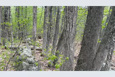 Lot #042 Tower Road, Vienna, ME 04360 - Photo 1